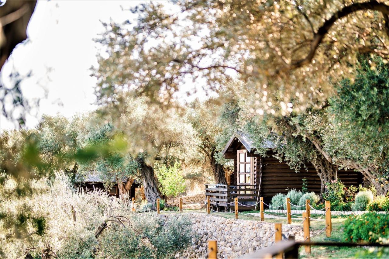 Holiday Park Olive Tree Ulcinj Eksteriør billede