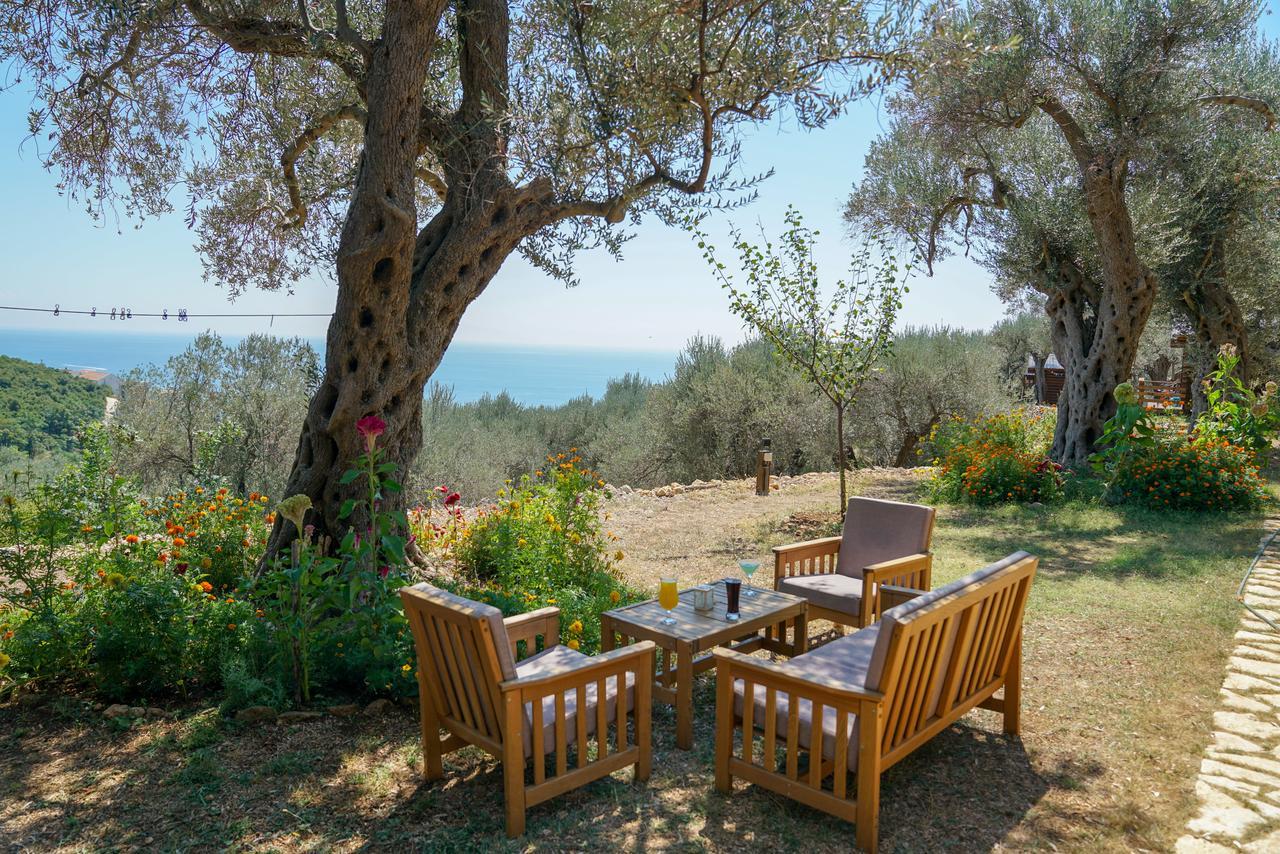 Holiday Park Olive Tree Ulcinj Eksteriør billede
