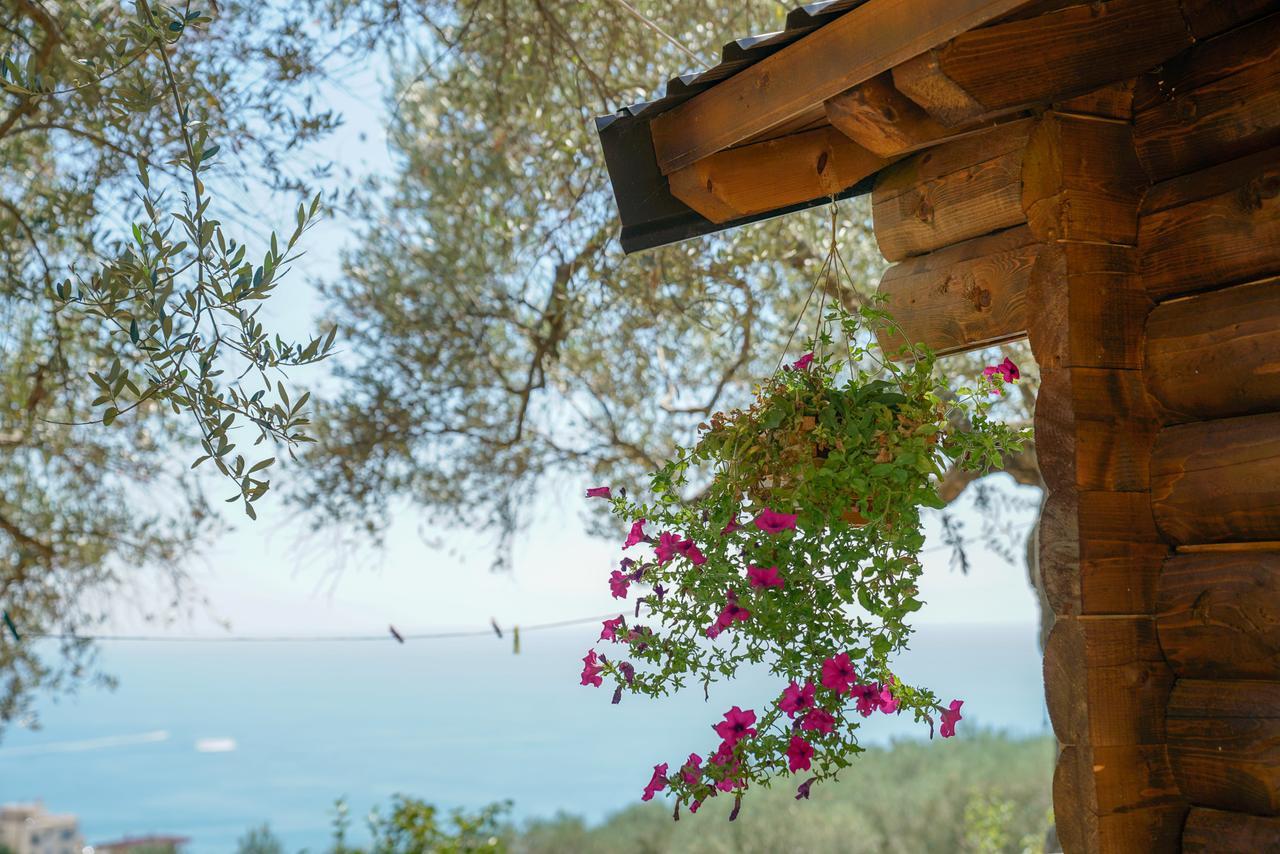 Holiday Park Olive Tree Ulcinj Eksteriør billede